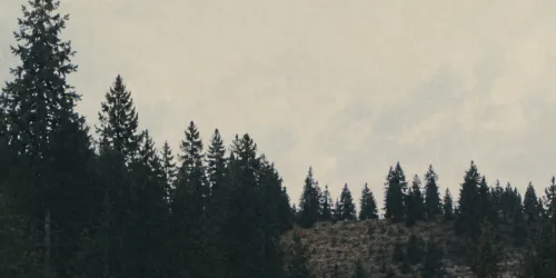 I want to believe