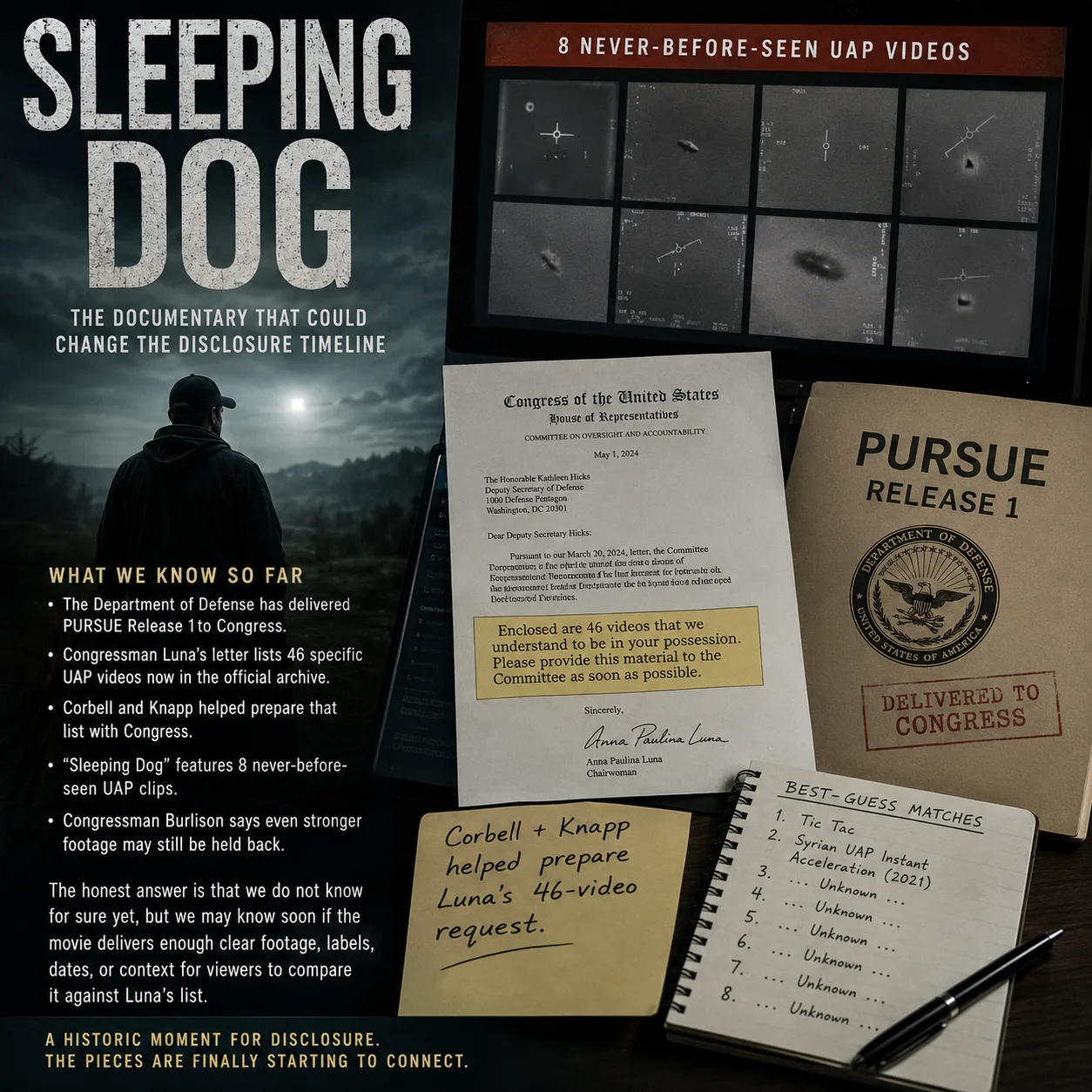 Sleepingdog